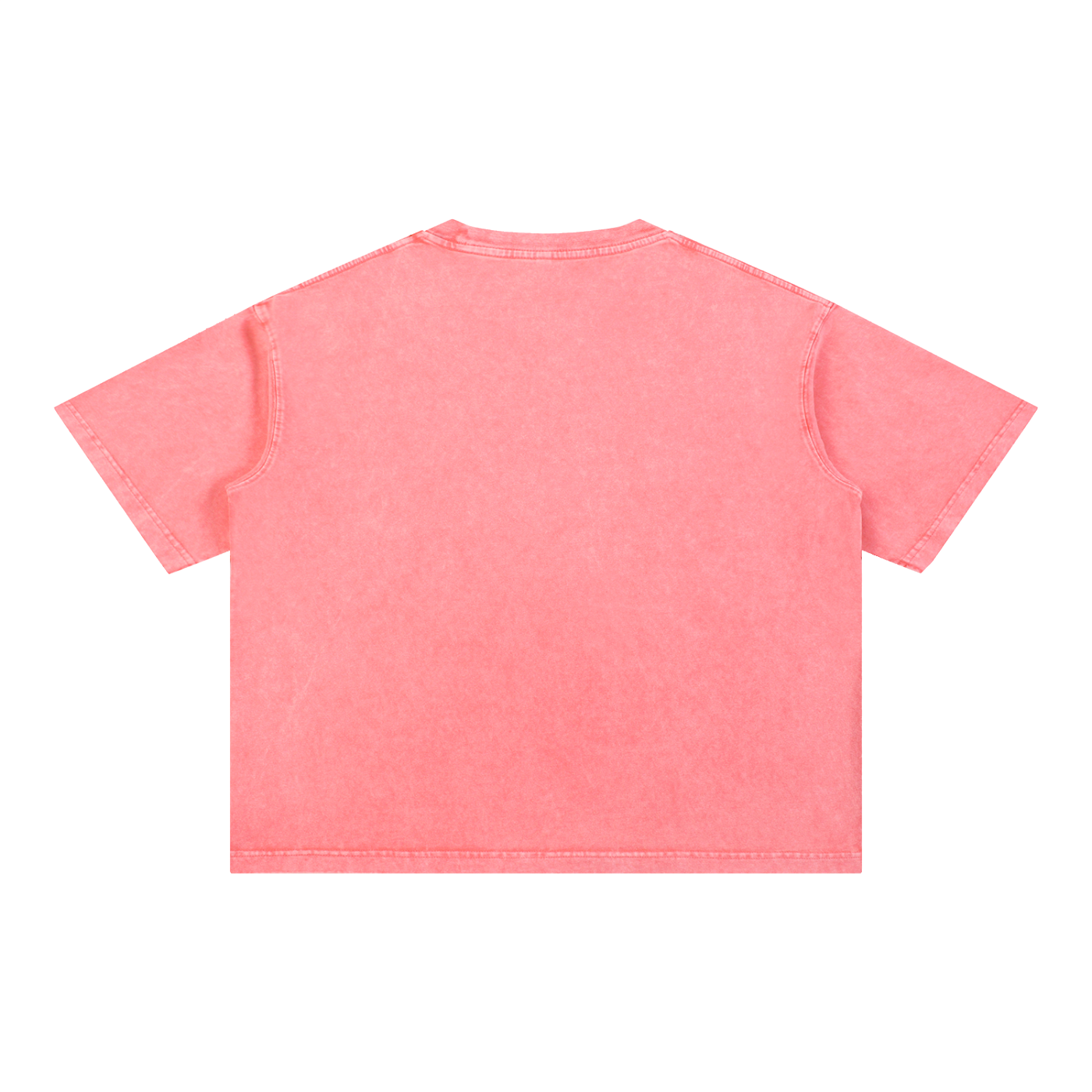 Sneaky Link Mineral-Wash Boxy Tee by GOODS, view 8